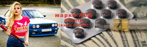 стаф Алзамай