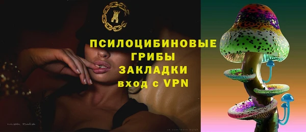 стаф Алзамай
