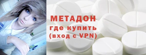 стаф Алзамай