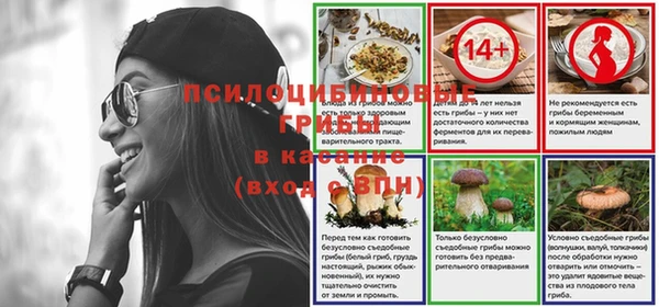 ГАЛЛЮЦИНОГЕННЫЕ ГРИБЫ Армянск