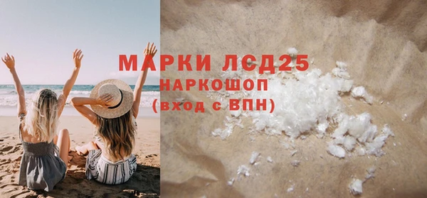 стаф Алзамай